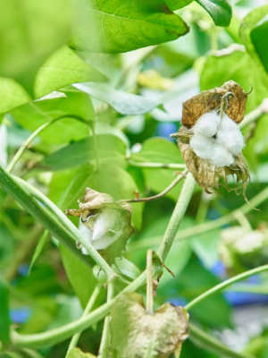 Img Physicallab Ff Feature01